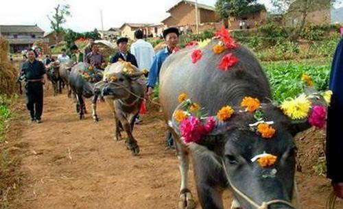 �� �f�^ţ�깝(ji��)����