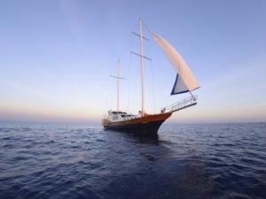 7��11����ʲô��(ji��)�����Ї�(gu��)�������ǎ�����