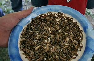 �P�c����10��֮���(ji��)�գ������_�����x��(ji��)