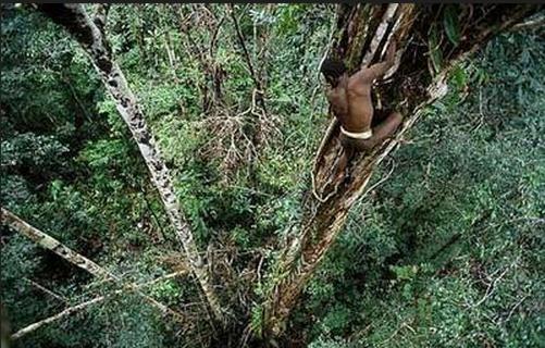 ������������ʯ���r��