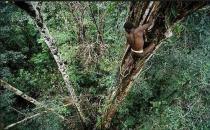 ������������ʯ���r��