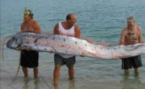 ����99%���˶��](m��i)Ҋ�^(gu��)����(d��ng)��ɾ�����