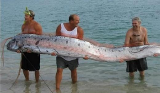 ����99%���˶��](m��i)Ҋ(ji��n)�^(gu��)����(d��ng)��ɾ�����