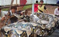 �ع⣺����@����Ȼ�ޫF��ˮ�׿�����