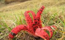 �o(w��)�治�е�Ԏ��ֲ��