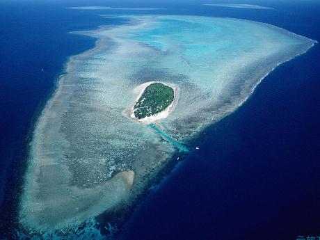 �|�����؎��́��Ꭷɭ�օ^(q��)��B