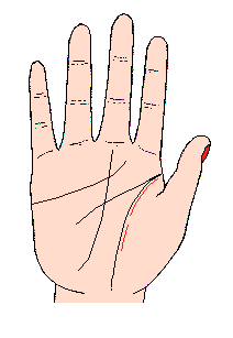 Ӱ푾��D�⣺����Ӱ푾������D��