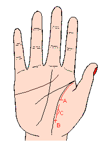 ����Ӱ푾���Ӱ푾��D��������Ӱ푾������D��