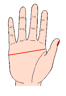 ���������D�⣺���˔��������D��