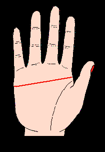 ���������D�⣺���˔��������D��