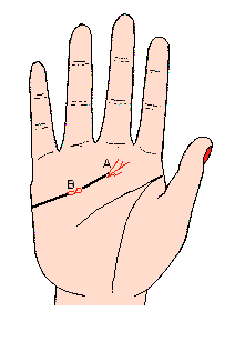 ���龀֮ĩ���ж�ëë