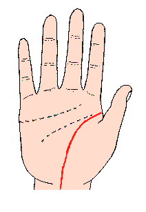 �������D�⣺�������L�����i�в�