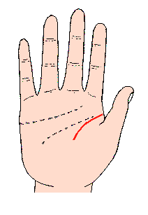 �����������D�⣺��������