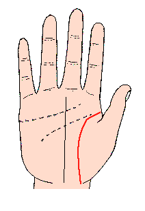 �������D�⣺������֮������