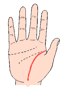 �������D�⣺�������ɞ�朠�