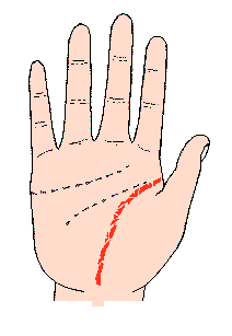 �������D�⣺���������L�̲�Ҏ(gu��)�t�Ĕྀ����