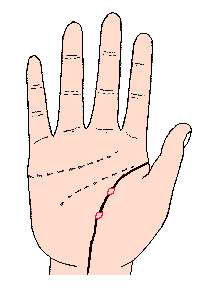 ����������;�����F(xi��n)�u��ӛ̖(h��o)