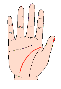 �ǻ۾��D�⣺�^�X���^�֏���