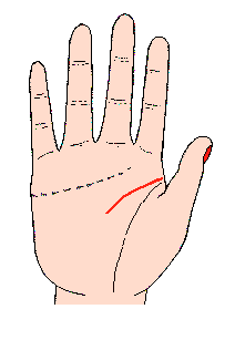 �ǻ۾��D�⣺�^�X���ܶ�