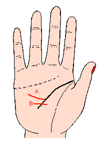 �^�X����֧����ĩ���