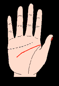 �ǻ۾����ǻ۾��D���������ǻ۾������D��