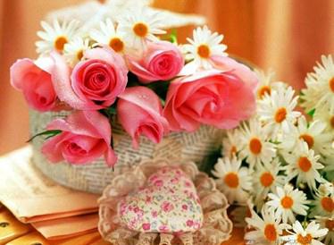 ��β廨���廨���ɣ��廨�Ę�(g��u)�D����