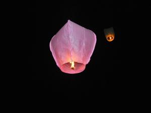 �������Ľ�B-����������������