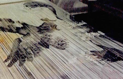 ����������������